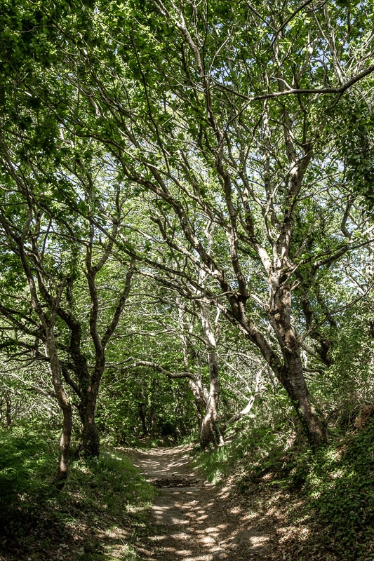 vallee des traouiero