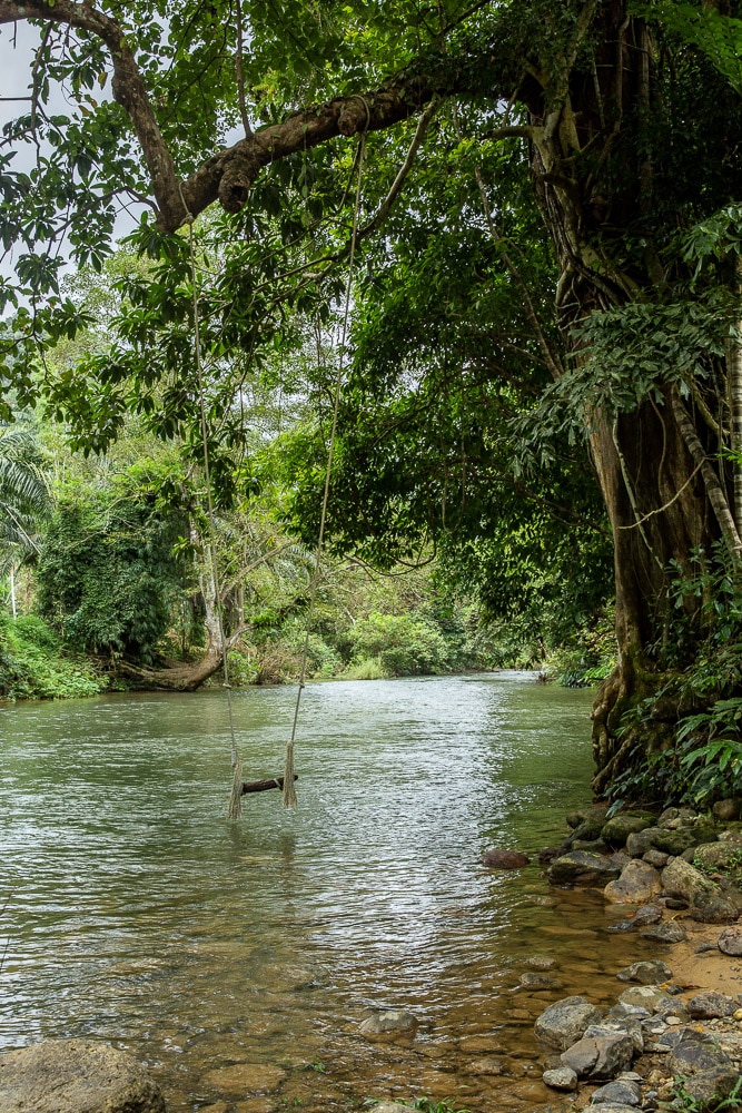 balançoire suspendue au -dessus d'une rivière à Khao Sok en Thaïlande