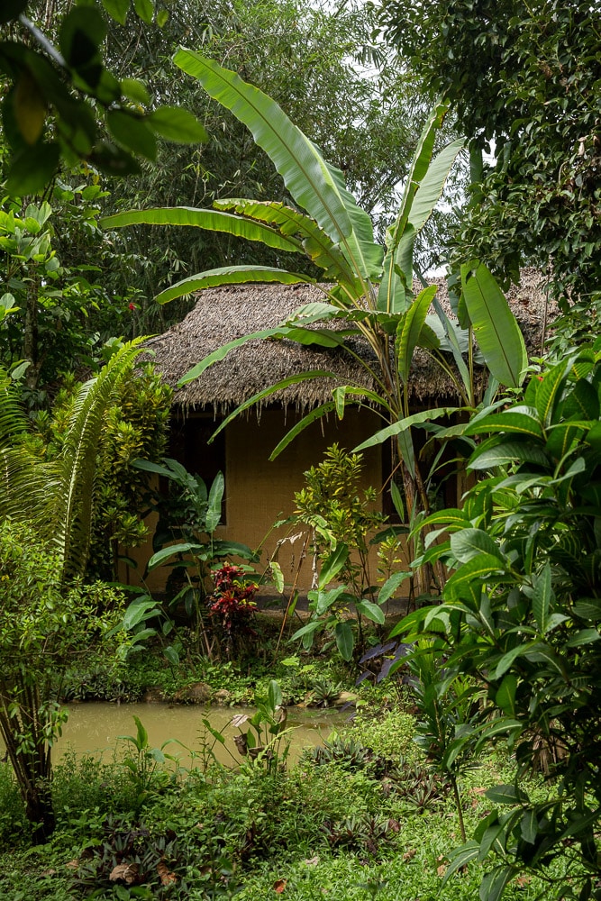 bungalow our jungle camp