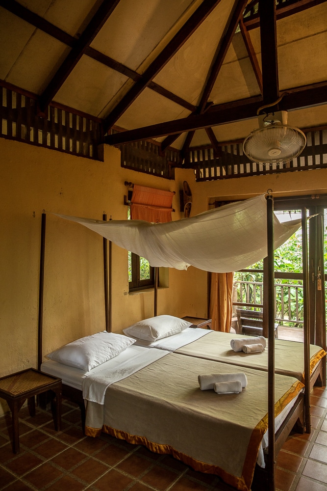 chambre our jungle camp