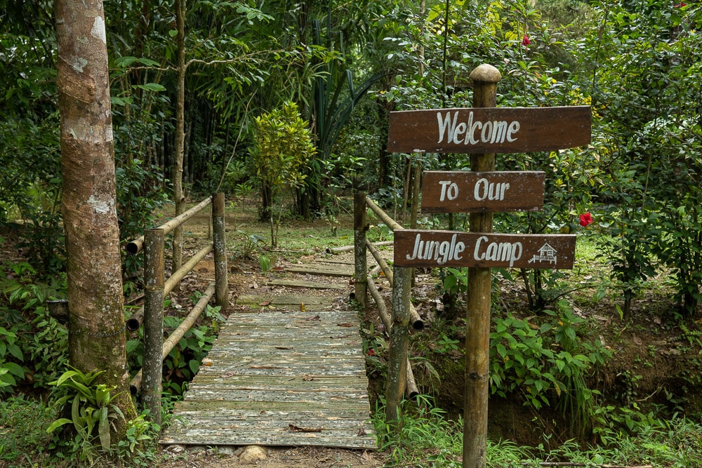 Our jungle camp, Khao Sok