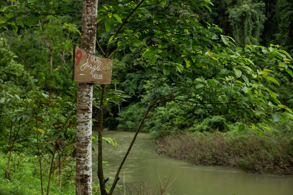 panneau posé sur le tronc d'un arbre en bord de rivière indiquant l'hotel our jungle house