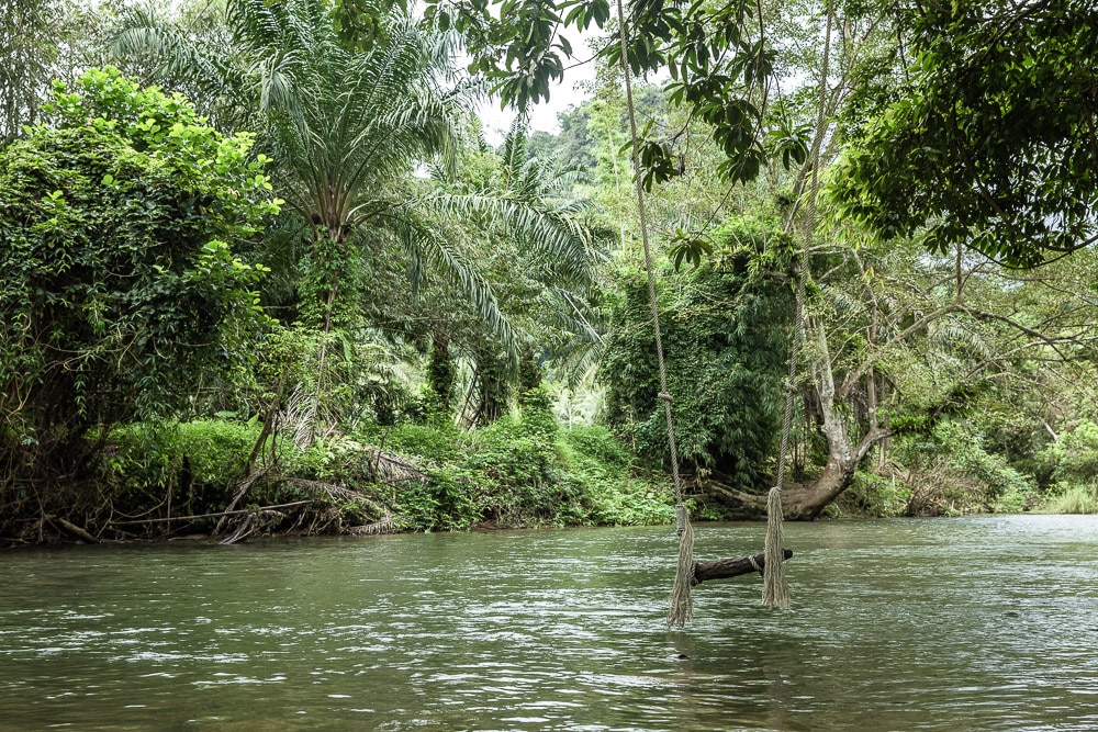 Balançoire rasant les eaux de la rivière de Khao Sok