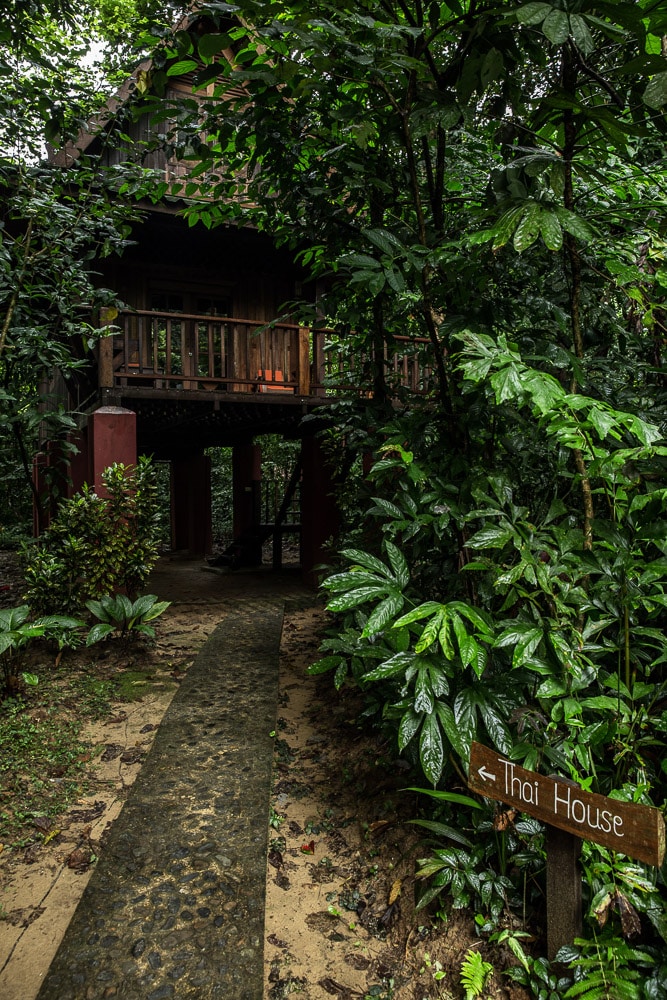 Thai house our jungle house
