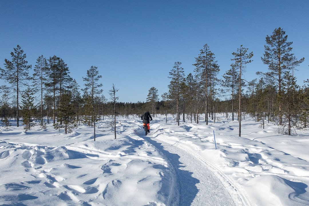 fatbike dans le parc national de pallas-yllastunturi
