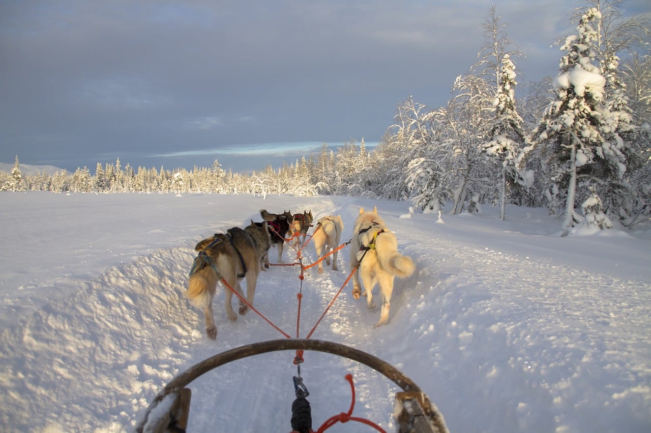 Traversée d'un lac gelé en traineau à chien en Laponie