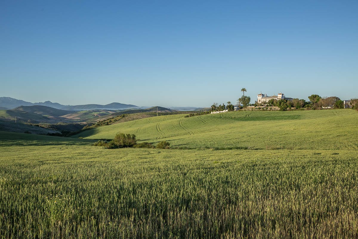 Hacienda las alcabalas au coeur des champs de blé