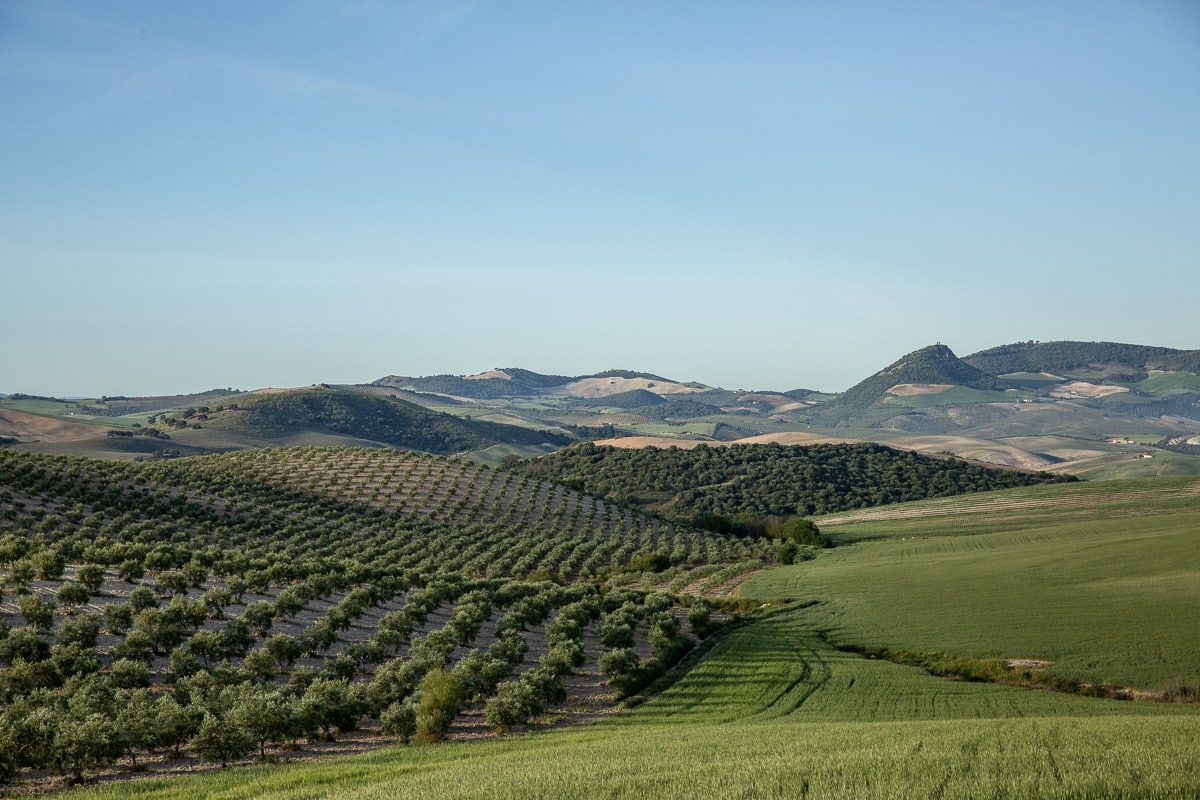 paysage andalou