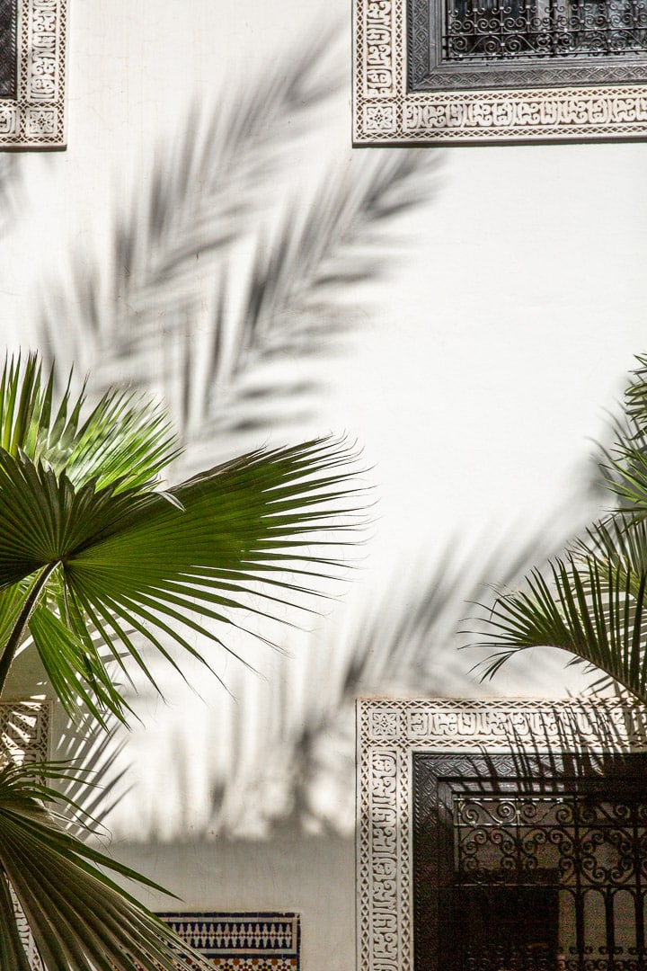 Reflets de palmiers sur un mur de riad à marrakech