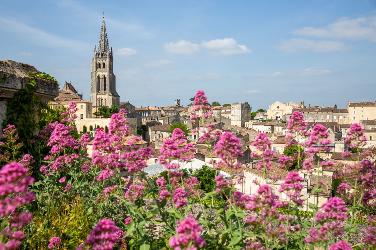 Vue panoramique de Saint-Émilion avec son clocher dominant les toits et les vignobles environnants
