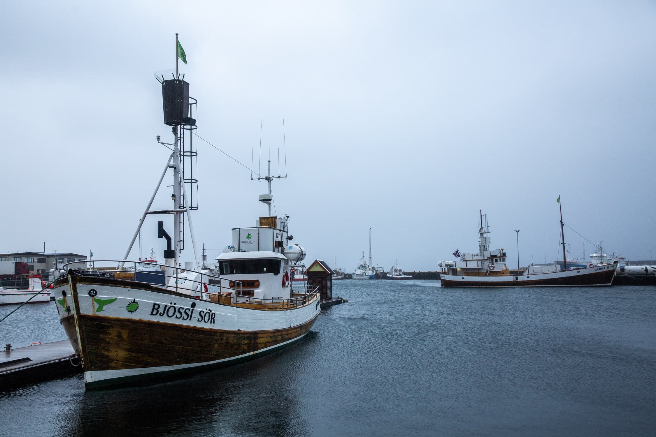 baleines-husavik