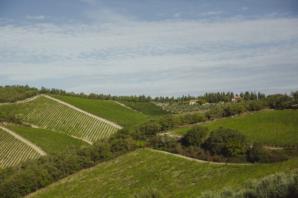 Vignes en terrasses et collines verdoyantes autour du village de Vertine dans le Chianti siennois