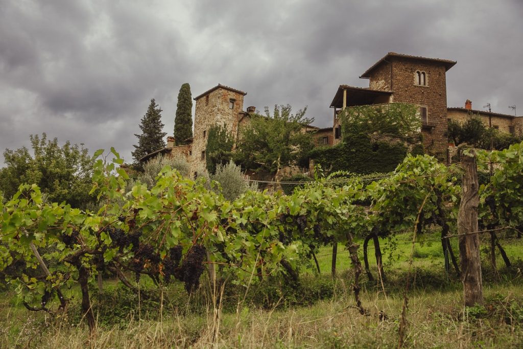 Vignes chargées de grappes noires devant un hameau en pierre typique de Toscane sur la route des vins du Chianti, sous un ciel nuageux