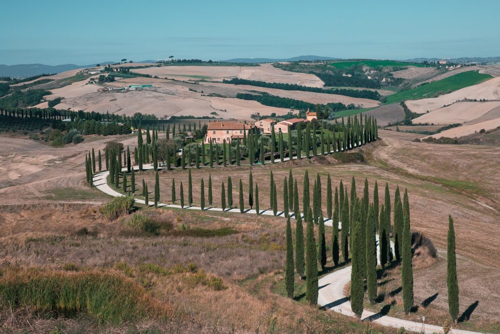 allee-cypres-cretes-senesi